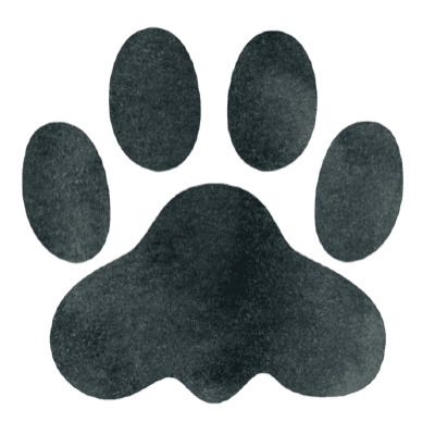 Pet owner portal